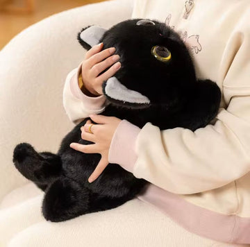 Creasowl Zwarte Kat Knuffel 40cm – Hoge Kwaliteit Superzachte Pluche Kat