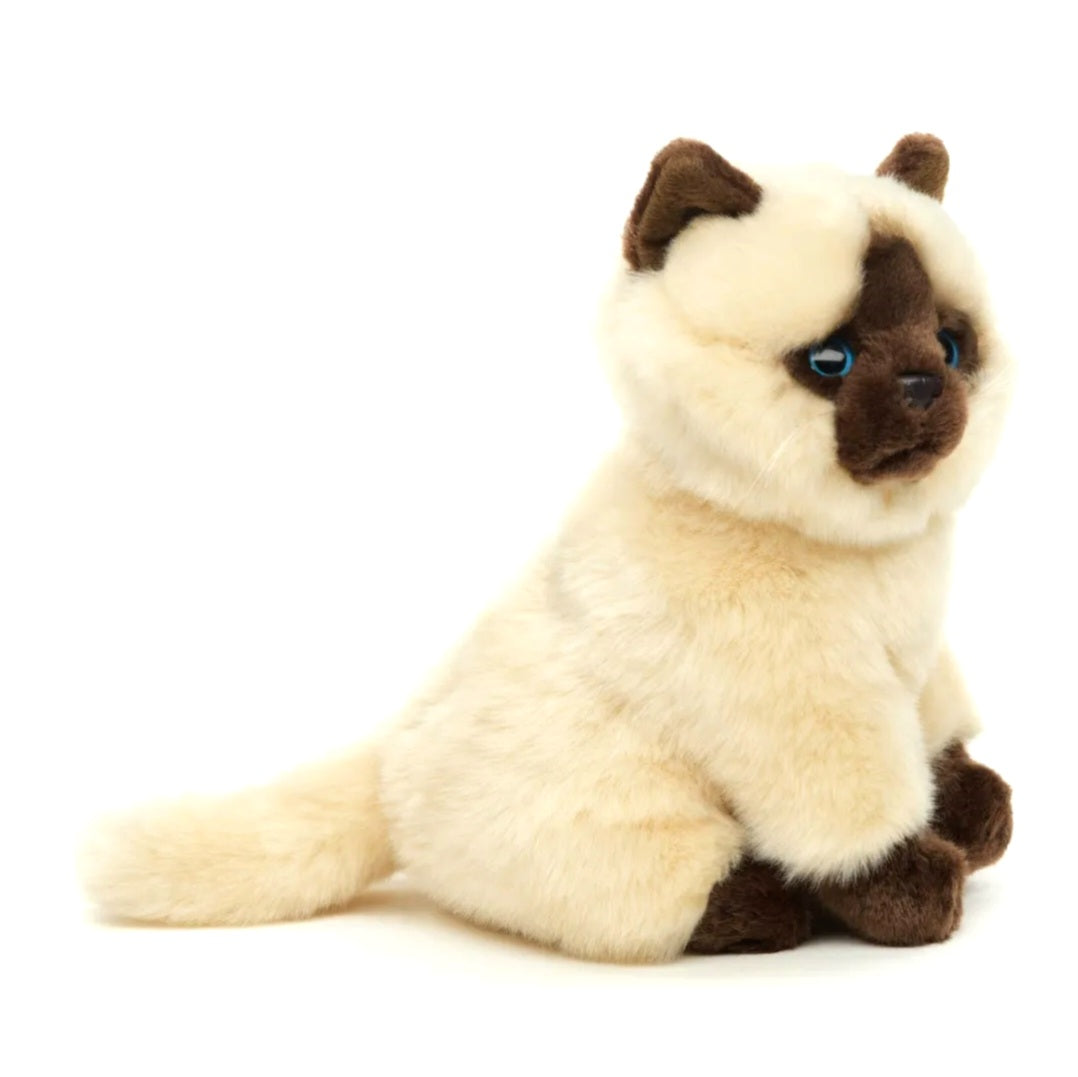Siamese Kat Knuffel Zittend Beige-Bruin 21 cm – Superzachte Pluche Kitten – Realistische Kat Knuffel – Huisdier Cuddly Toy – Cadeau voor Kattenliefhebbers Creasowl