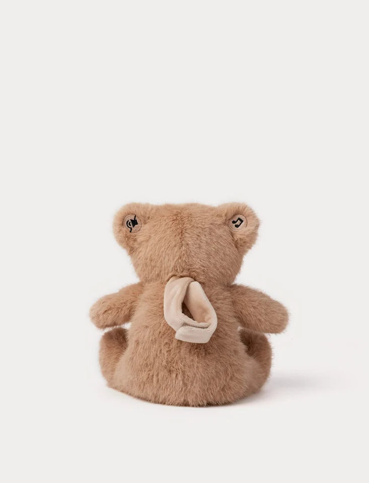 Zachte Teddybeer knuffel met nachtlampje en slaapgeluiden voor baby's, 25 cm, Creasowl slaaptrainer voor rustige nachten