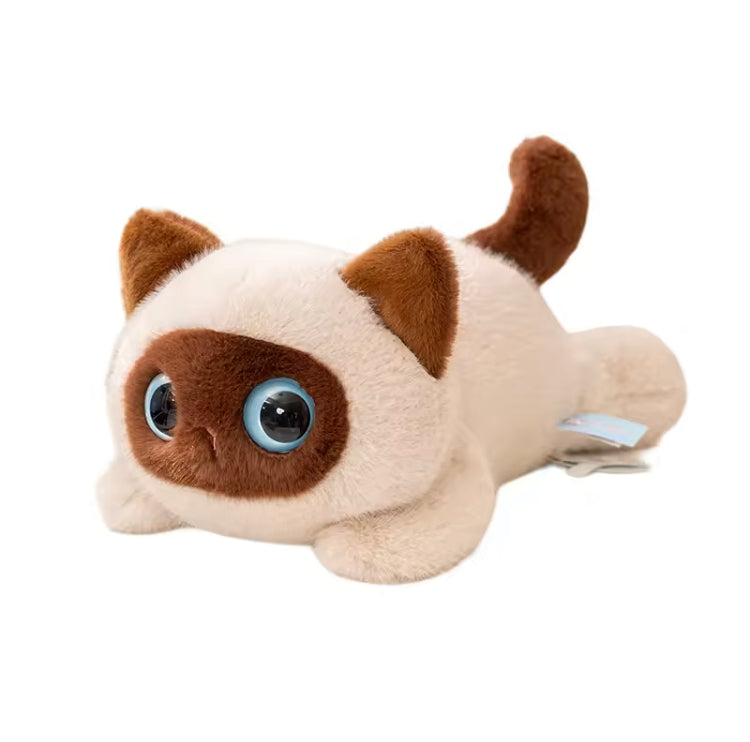 Kat Knuffel 40/50cm – Hoge Kwaliteit Superzachte Pluche Kat Creasowl