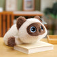 Liggende Kat Knuffel – 17/30/40 cm – Siamese & Cartoon Kat – Tashanger of Knuffel – Zacht Pluche Cadeau Creasowl
