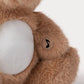 Zachte teddybeer knuffel met nachtlampje en slaapgeluiden voor baby's, 25 cm, Creasowl slaaptrainer, rustgevend en knuffelbaar