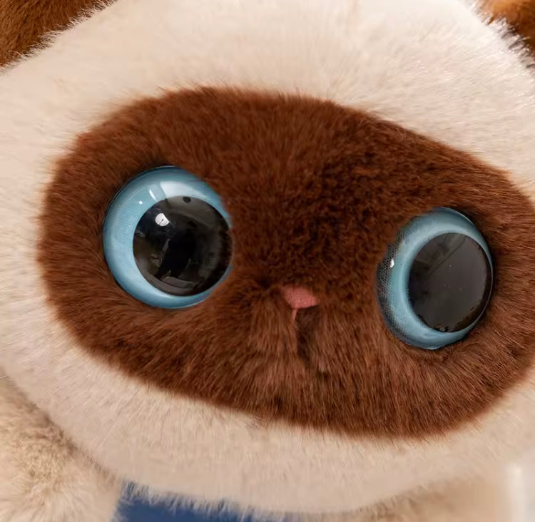 Kat Knuffel 40/50cm – Hoge Kwaliteit Superzachte Pluche Kat Creasowl