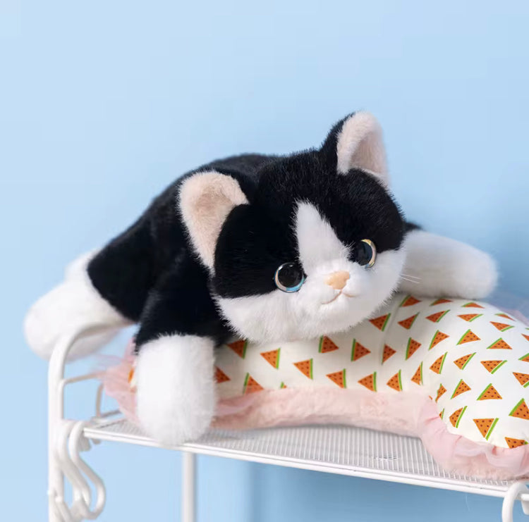 Leuke Realistische Kat Knuffel – Liggend & Pluizig – Zachte Pop met Gewogen Pootjes Creasowl