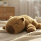 Capybara Knuffel 30/40 cm - Zachte Dieren Pluche met Licht Gewogen Pootjes