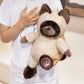 Cartoon Siamese Katten Knuffel – Schattige Kawaii Kat Knuffel | Pluche Speelgoed & Cadeau