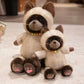 Creasowl Cartoon Siamese Katten Knuffel – Schattige Kawaii Kat Knuffel | Pluche Speelgoed & Cadeau