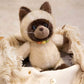 Creasowl Cartoon Siamese Katten Knuffel – Schattige Kawaii Kat Knuffel | Pluche Speelgoed & Cadeau