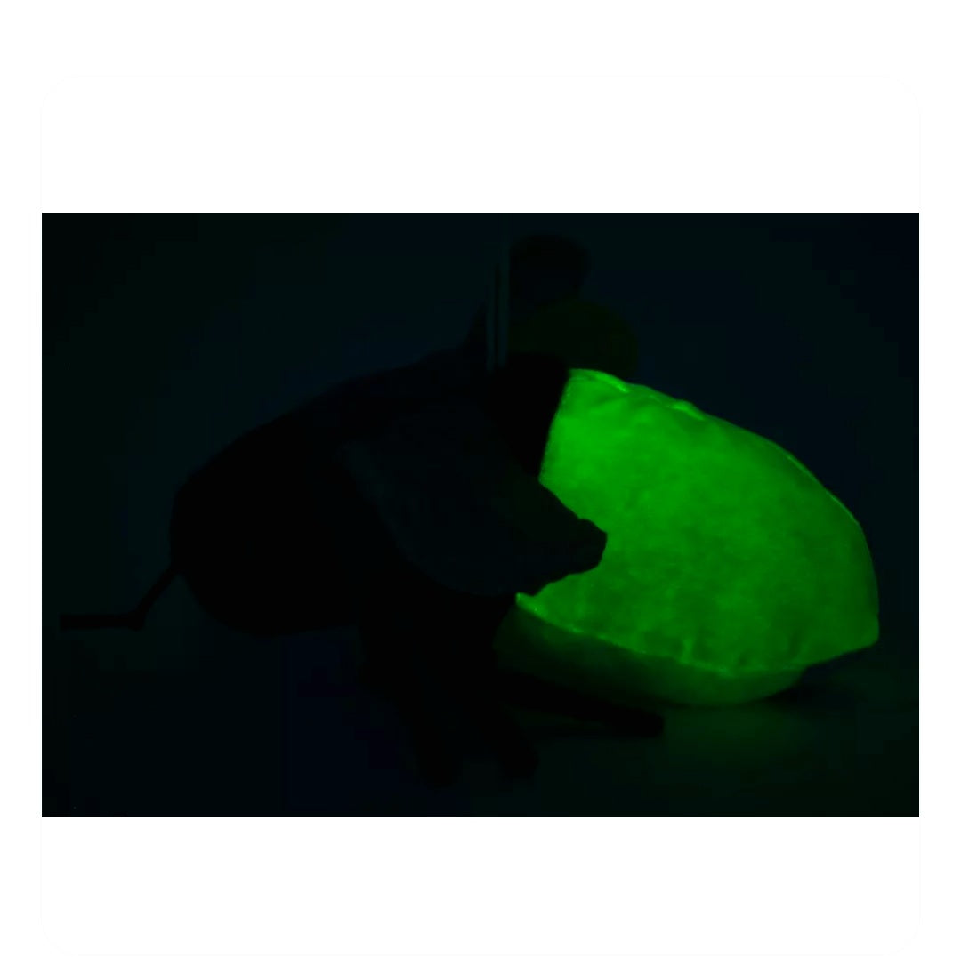 Glow in the Dark Vuurvlieg Knuffel 17 cm – Fluorescerende Pluche Insect Knuffel – Lichtgevende Knuffel – Cadeau voor Kinderen Creasowl