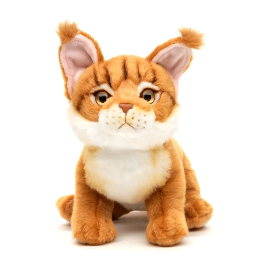 Maine Coon Kat Knuffel Zittend Bruin 18 cm – Superzachte Pluche Kitten – Katten Knuffel – Huisdier Knuffel – Cadeau voor Kinderen en Kattenliefhebbers Creasowl