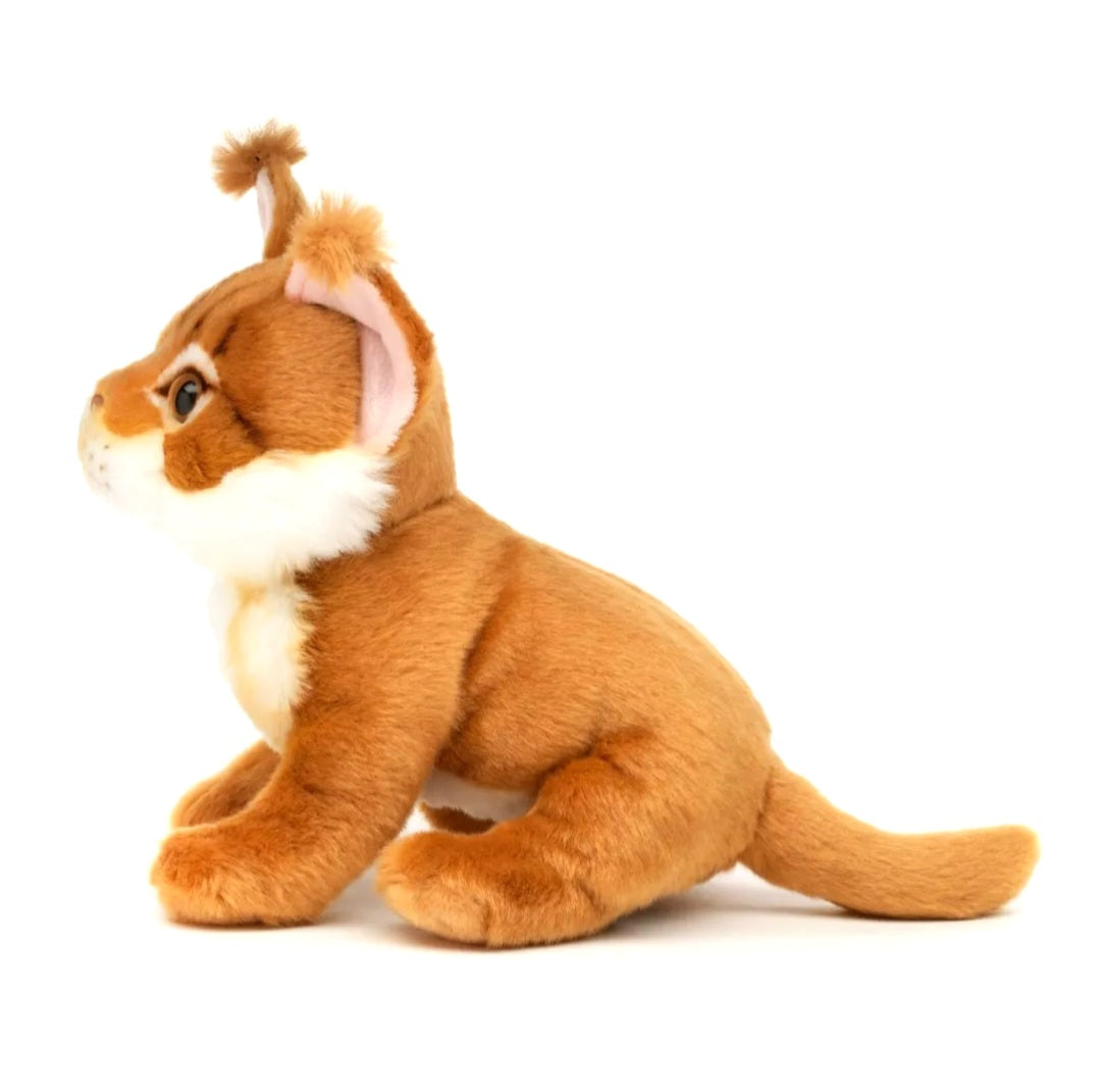 Maine Coon Kat Knuffel Zittend Bruin 18 cm – Superzachte Pluche Kitten – Katten Knuffel – Huisdier Knuffel – Cadeau voor Kinderen en Kattenliefhebbers Creasowl