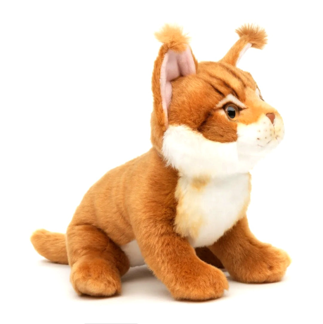 Maine Coon Kat Knuffel Zittend Bruin 18 cm – Superzachte Pluche Kitten – Katten Knuffel – Huisdier Knuffel – Cadeau voor Kinderen en Kattenliefhebbers Creasowl