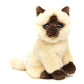 Siamese Kat Knuffel Zittend Beige-Bruin 21 cm – Superzachte Pluche Kitten – Realistische Kat Knuffel – Huisdier Cuddly Toy – Cadeau voor Kattenliefhebbers Creasowl
