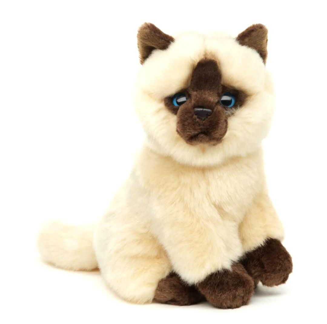 Siamese Kat Knuffel Zittend Beige-Bruin 21 cm – Superzachte Pluche Kitten – Realistische Kat Knuffel – Huisdier Cuddly Toy – Cadeau voor Kattenliefhebbers Creasowl