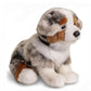 Australian Shepherd Puppy Knuffel Zittend met Riem 22 cm – Superzachte Pluche Hond – Schattige Puppy Knuffel – Huisdier Cuddly Toy – Cadeau voor Kinderen Creasowl