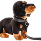 Teckel knuffel met riem - 27 cm lang - pluchen knuffeldier